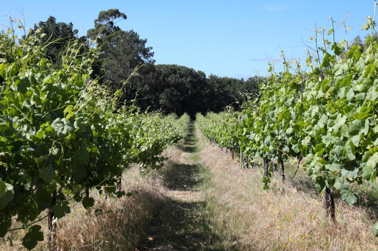 Quinta De Chousas - Braga - Agroturismo Exteriör bild