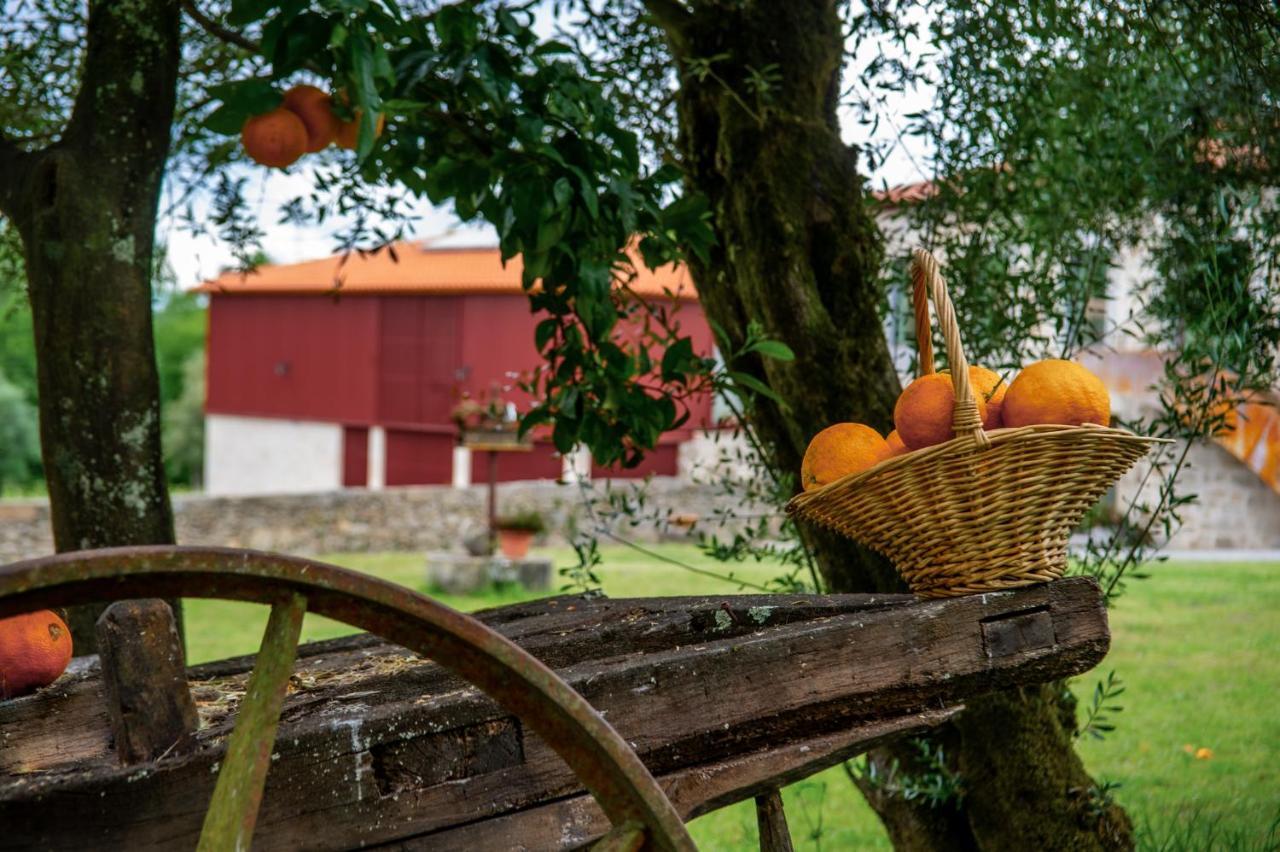 Quinta De Chousas - Braga - Agroturismo Exteriör bild