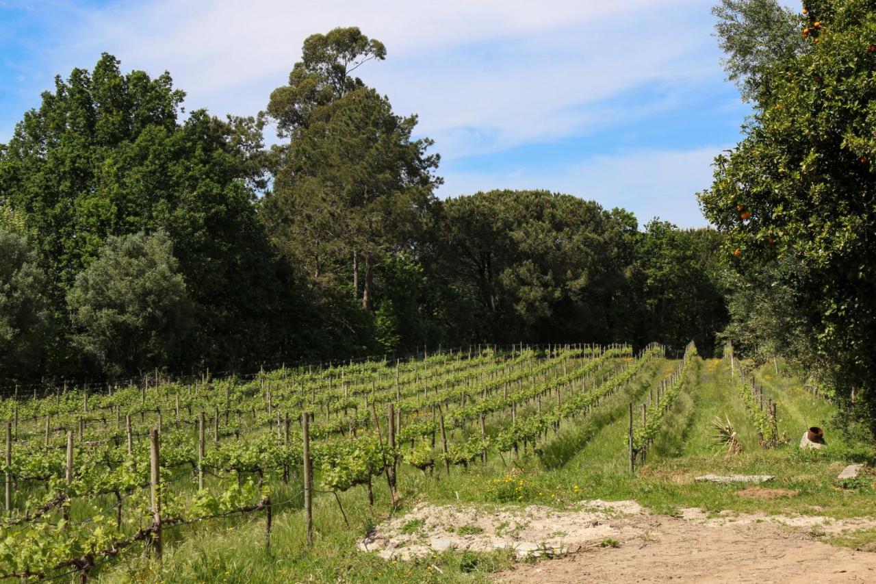 Quinta De Chousas - Braga - Agroturismo Exteriör bild